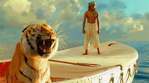 ����Ҫ�������@�扦����(d��o)�ݡ���(��i)���z��(m��ng)���ɾ���������